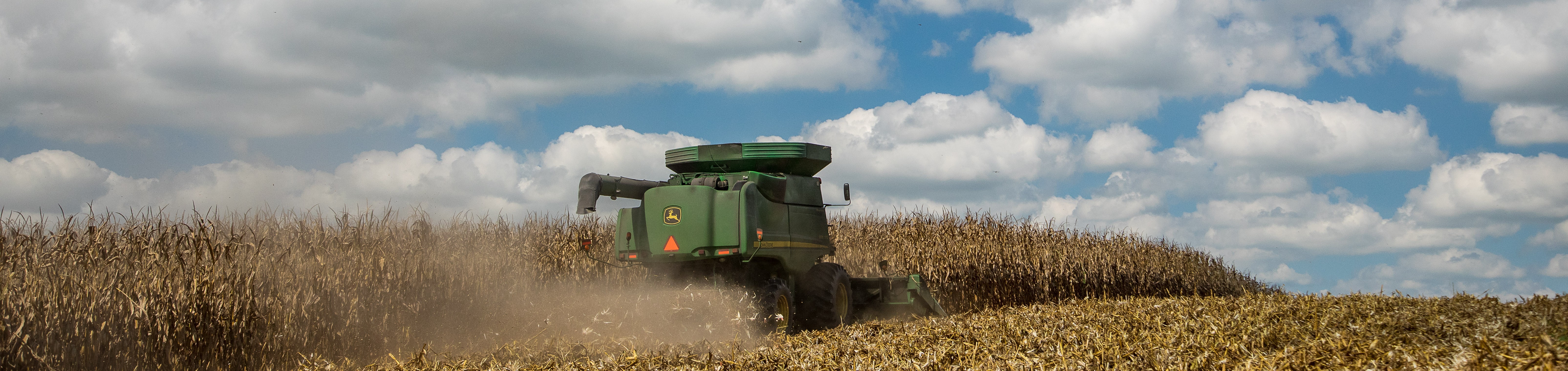 combine harvesting corn
