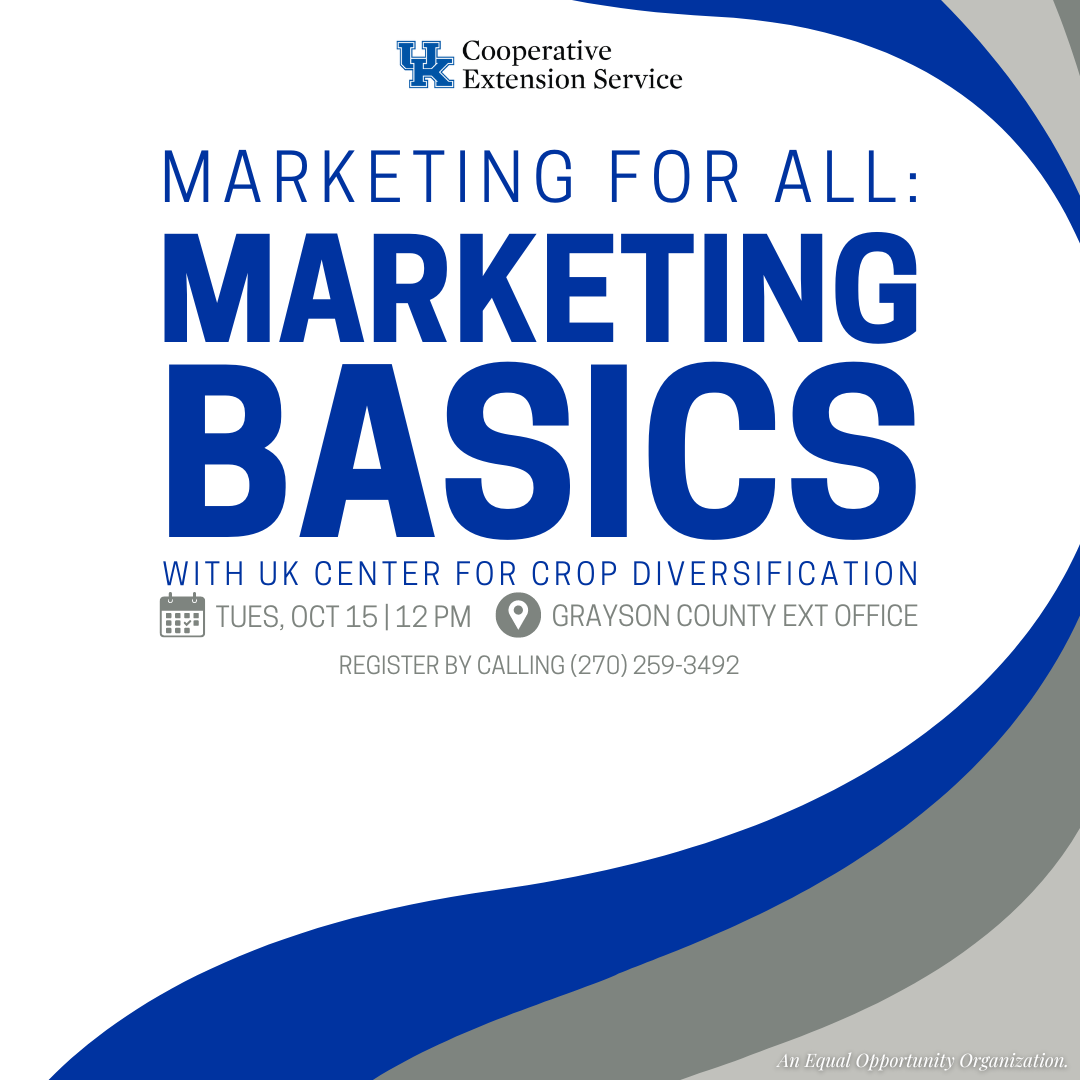 marketing basics graphic