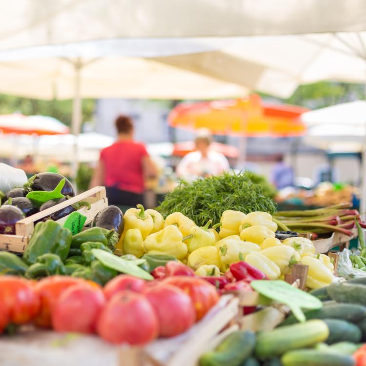  Farmer's Market scene